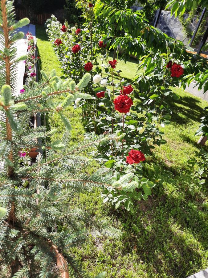 Cherry Garden Boutique Hotel Yeghegnadzor Eksteriør billede
