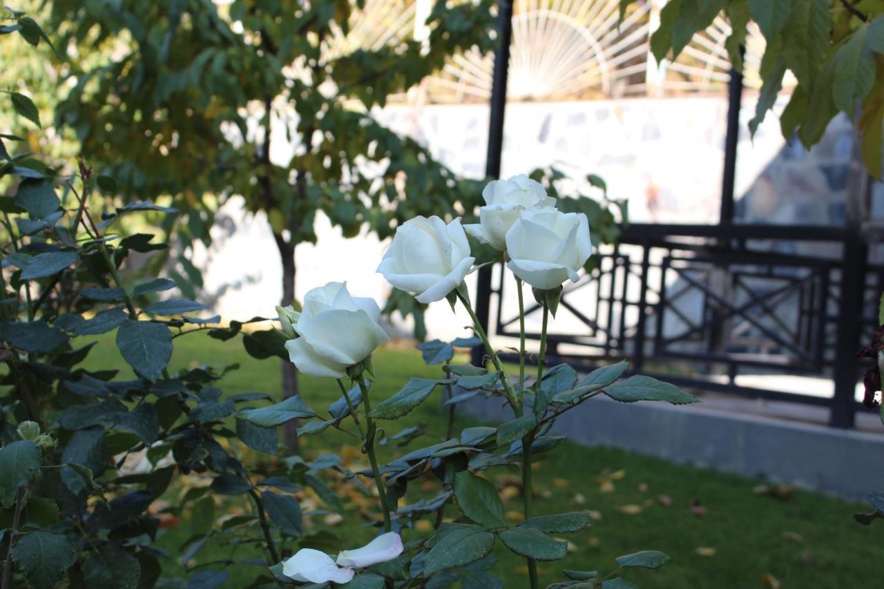 Cherry Garden Boutique Hotel Yeghegnadzor Eksteriør billede